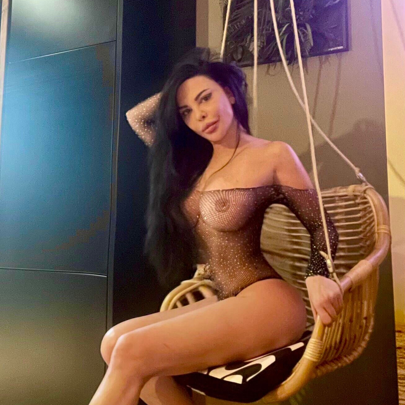 modell-image